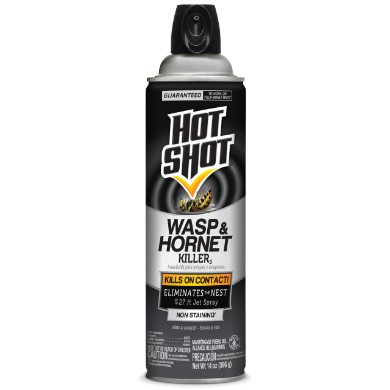 Hot Shot Wasp Spray
